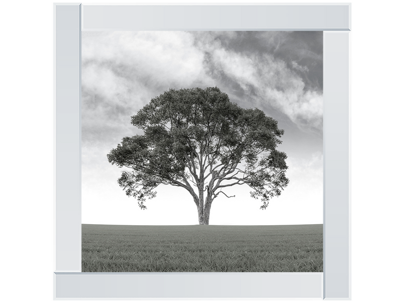 Lone Tree 1