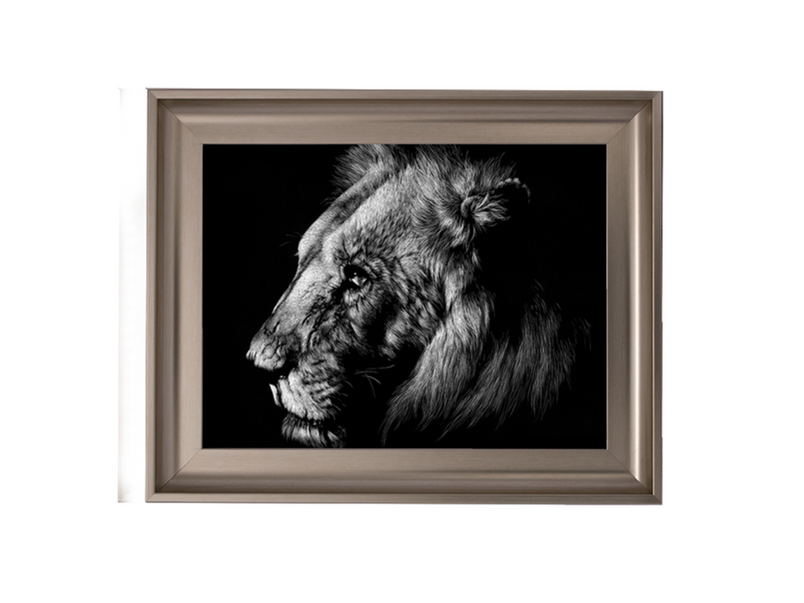 Wildlife Scratchboards I