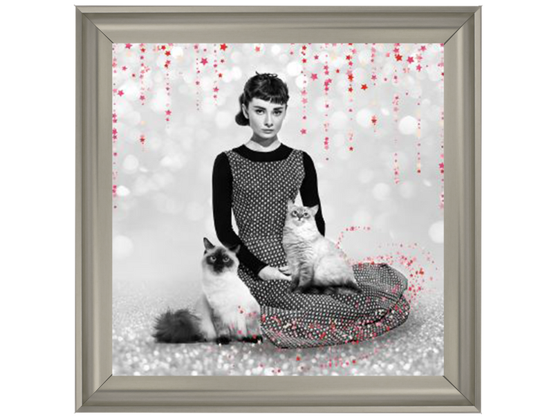 Audrey and cats