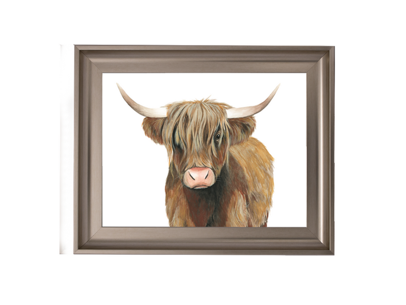 Highland Cattle II