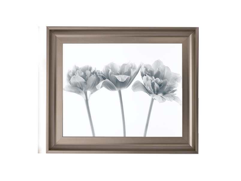 Set of 3 flowers II