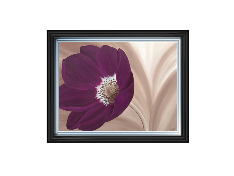 Velvet Anemone