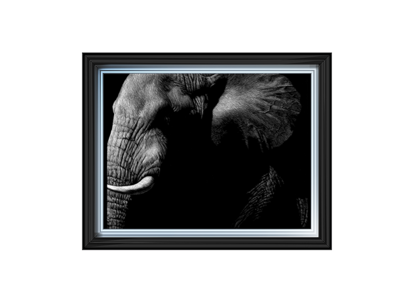 Wildlife Scratchboards III