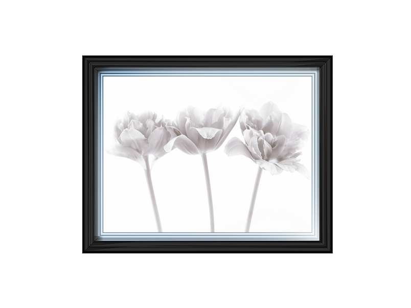 Set of 3 flowers
