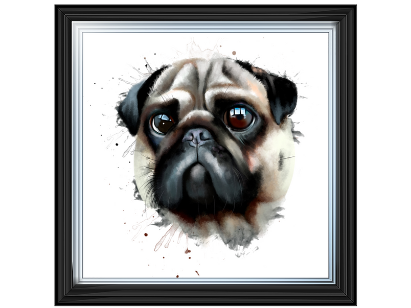 Portrait of a pug dog watercolor illustration