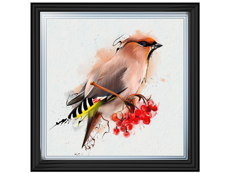 The Waxwing, a songbird of passerine.