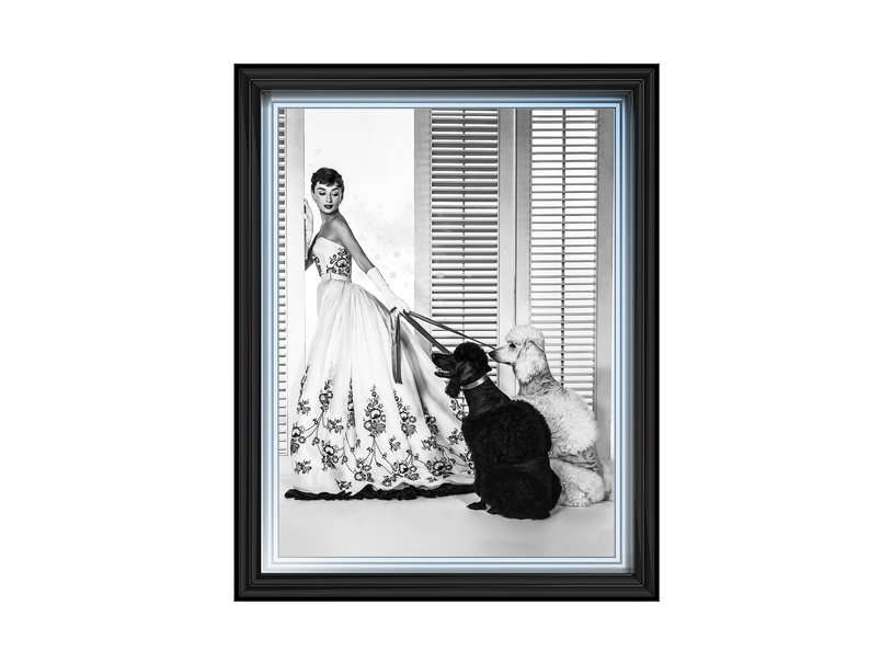 Audrey Hepburn Poodles
