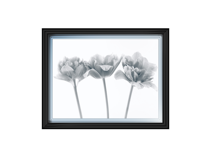 Set of 3 flowers II