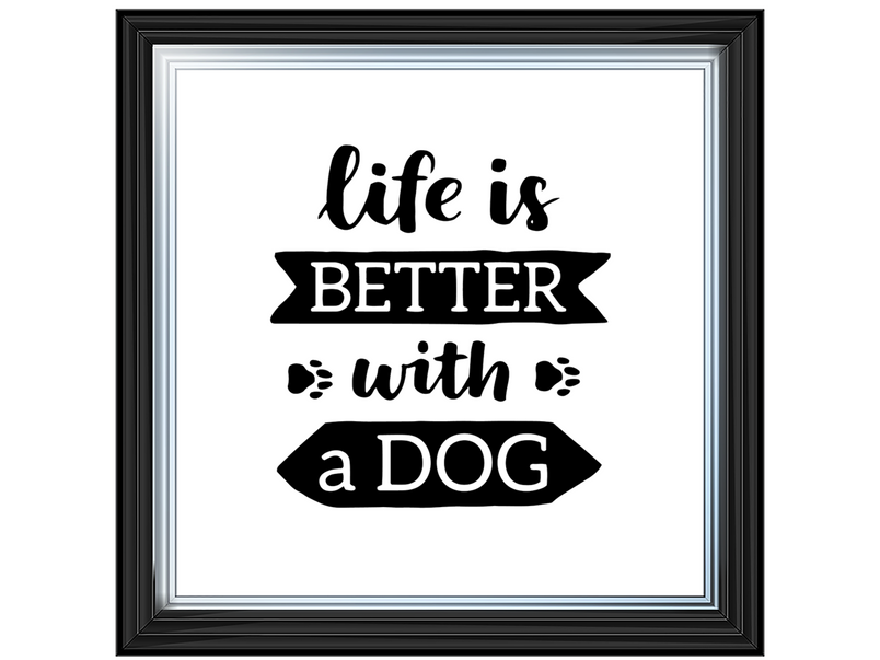 Life is better with a dog