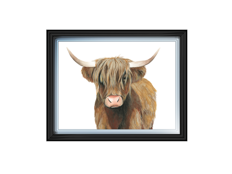 Highland Cattle II