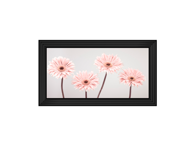 Set of 4 Gerberas nude pink