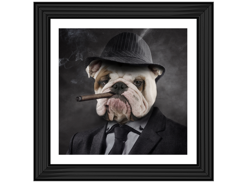 Gangster Bulldog (border)