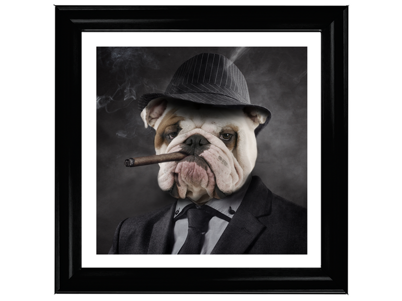 Gangster Bulldog (border)