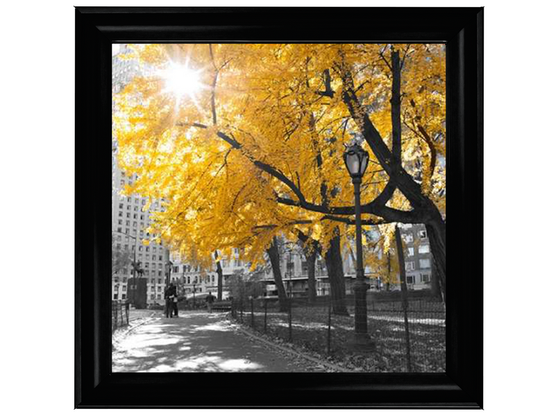 Central Park New York, Yellow Tree