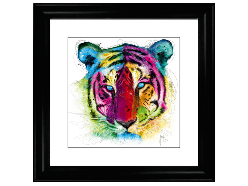 Colourful Tiger, Murciano