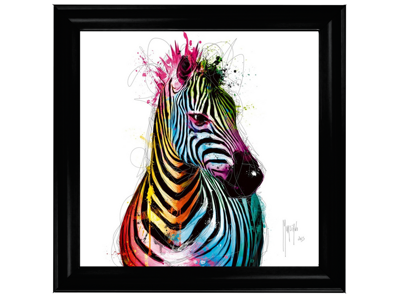 Colourful Zebra by Murciano