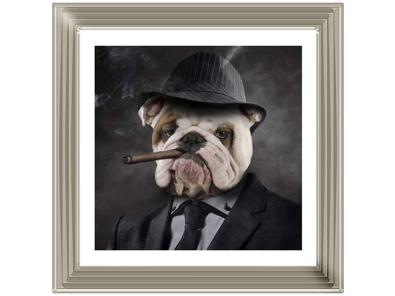 Gangster Bulldog (border)