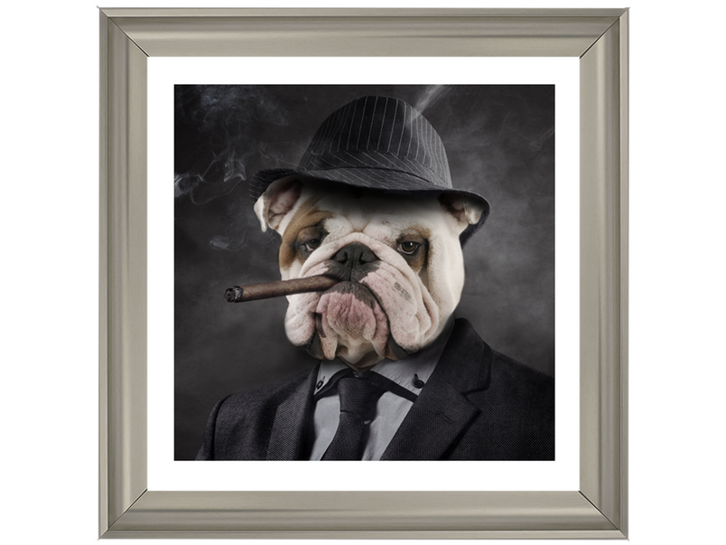 Gangster Bulldog (border)