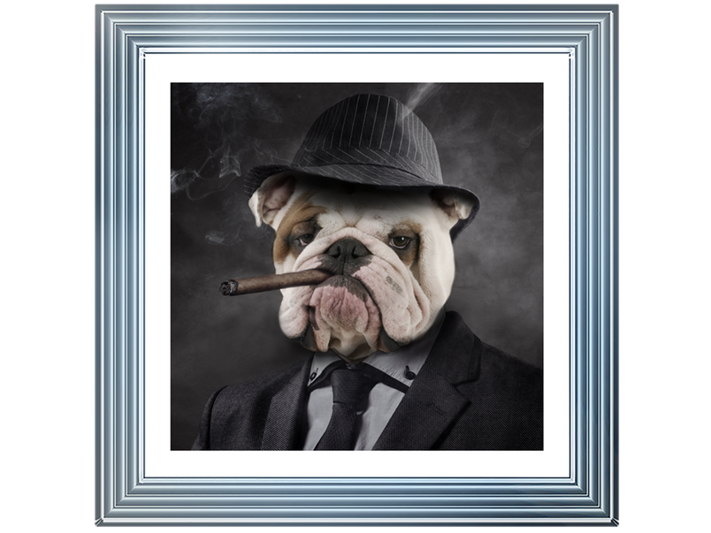 Gangster Bulldog (border)