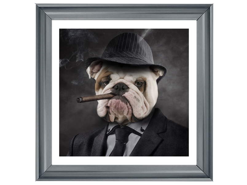 Gangster Bulldog (border)