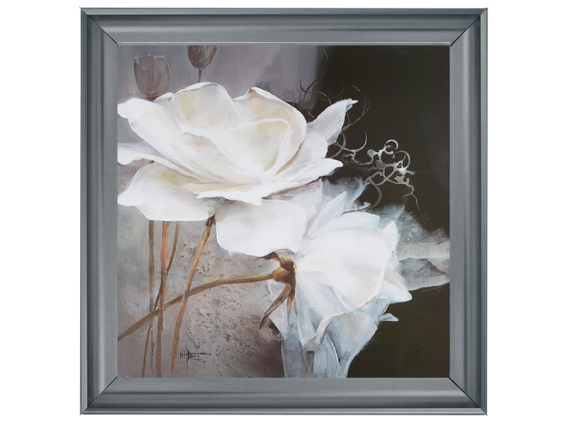 White Rose1