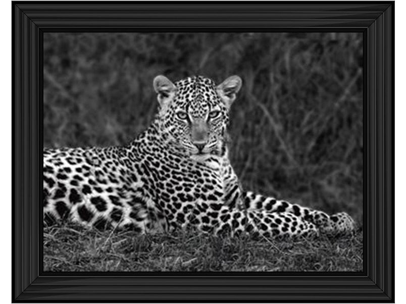 Leopard Monochrome