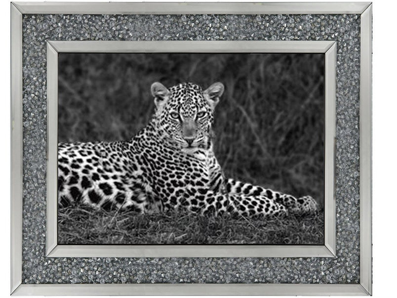 Leopard Monochrome