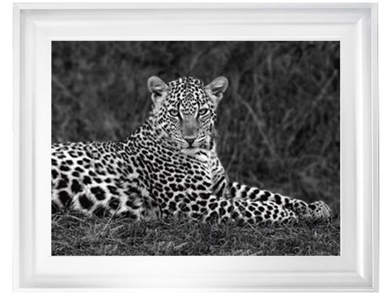 Leopard Monochrome