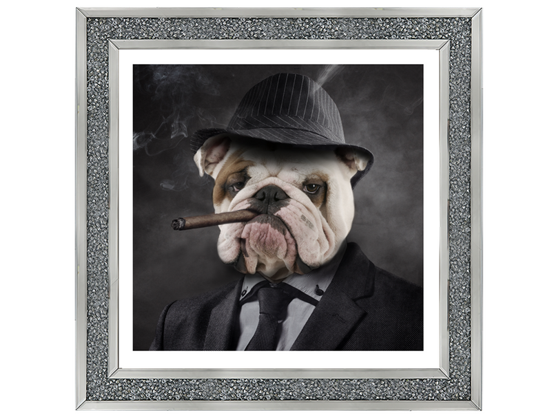 Gangster Bulldog (border)