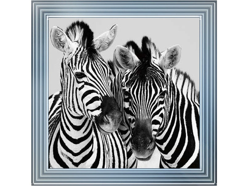 Zebra Duo HD