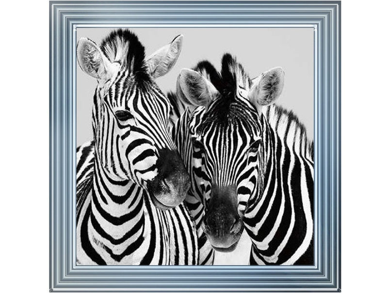 Zebra Duo HD