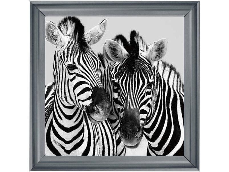 Zebra Duo HD