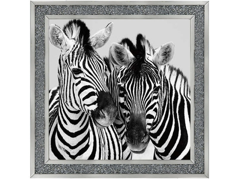 Zebra Duo HD