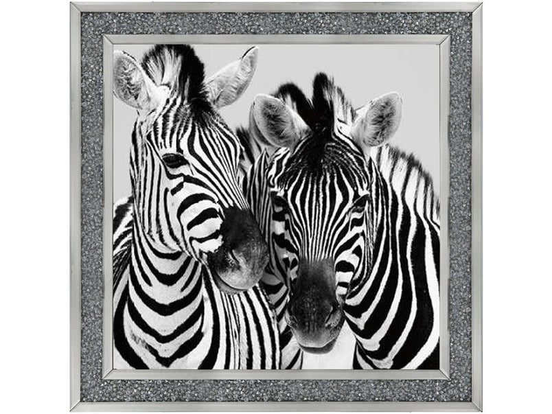 Zebra Duo HD