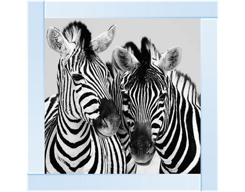 Zebra Duo HD