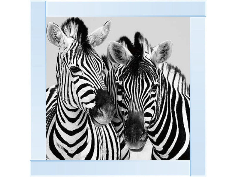 Zebra Duo HD