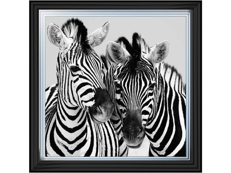 Zebra Duo HD