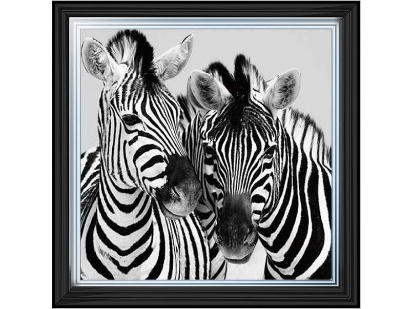 Zebra Duo HD