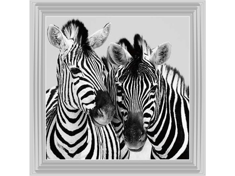 Zebra Duo HD