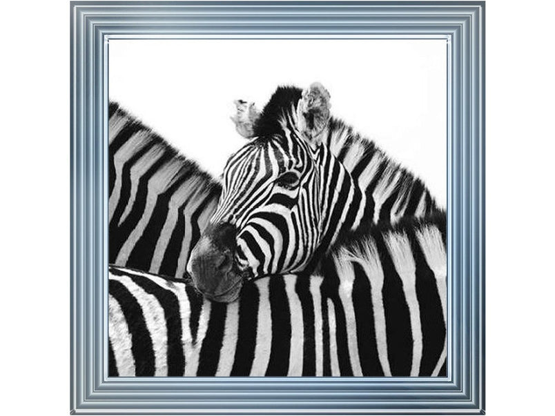 Zebra Hug