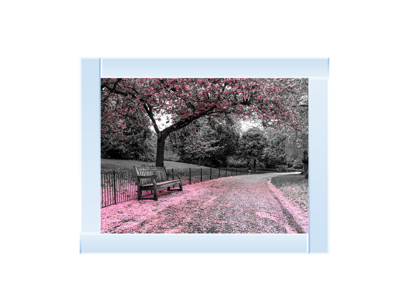 Park bench Pink