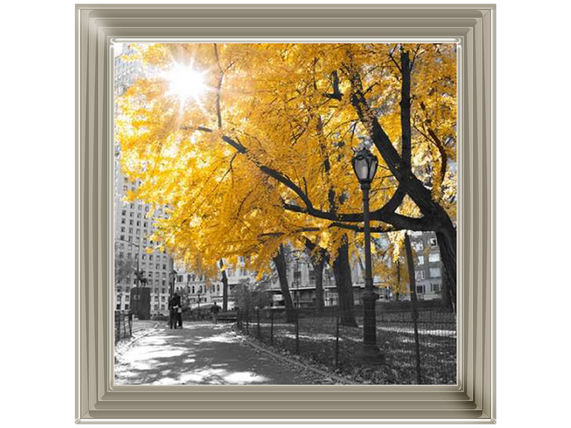 Central Park New York, Yellow Tree