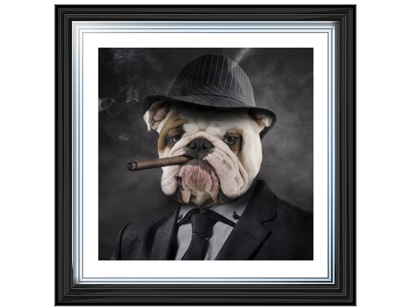 Gangster Bulldog (border)