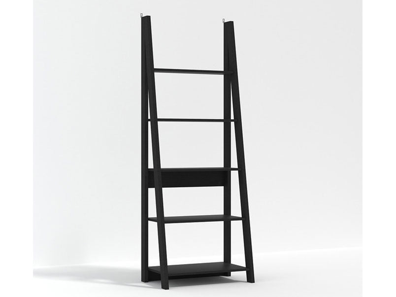 Hugo Ladder Bookcase