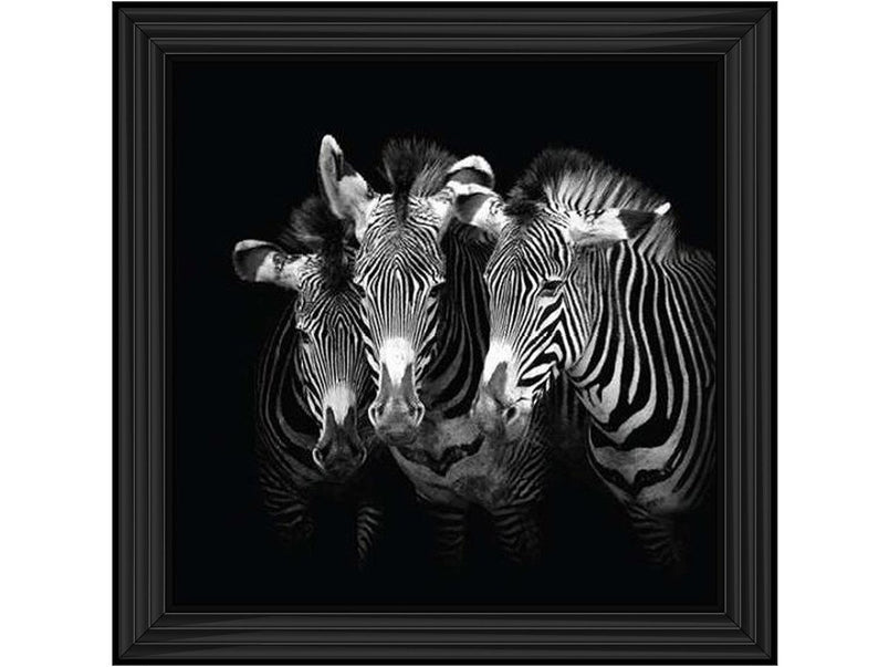 Zebra Triptych