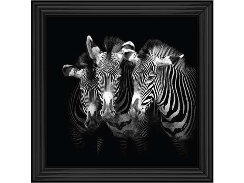 Zebra Triptych