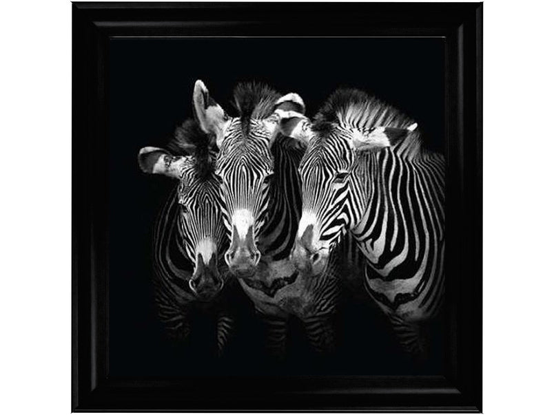 Zebra Triptych