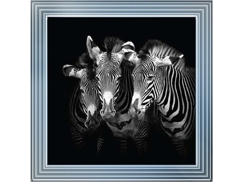 Zebra Triptych