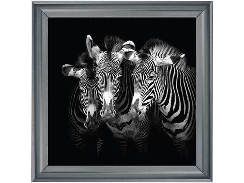 Zebra Triptych