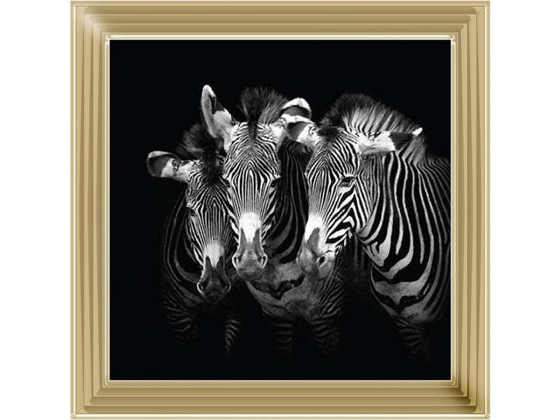 Zebra Triptych